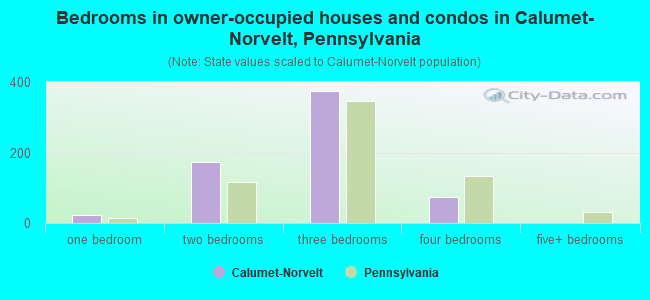 Bedrooms in owner-occupied houses and condos in Calumet-Norvelt, Pennsylvania