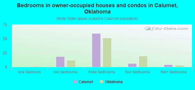 Bedrooms in owner-occupied houses and condos in Calumet, Oklahoma