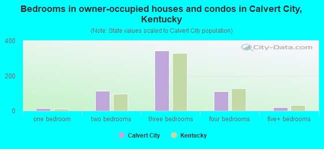 Bedrooms in owner-occupied houses and condos in Calvert City, Kentucky
