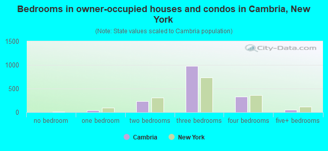 Bedrooms in owner-occupied houses and condos in Cambria, New York
