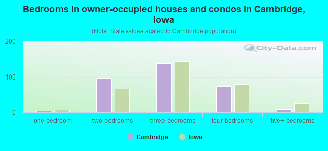 Bedrooms in owner-occupied houses and condos in Cambridge, Iowa