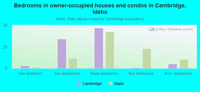 Bedrooms in owner-occupied houses and condos in Cambridge, Idaho