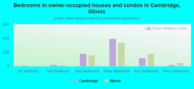 Bedrooms in owner-occupied houses and condos in Cambridge, Illinois