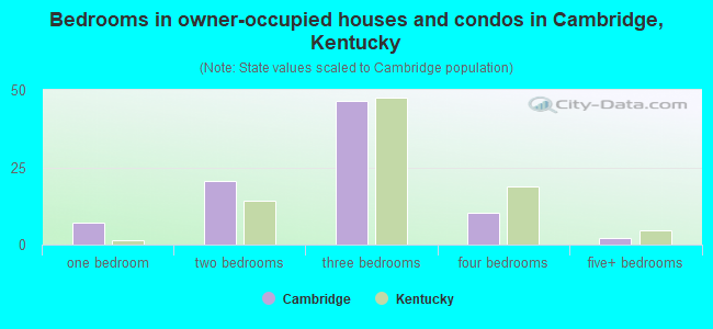 Bedrooms in owner-occupied houses and condos in Cambridge, Kentucky