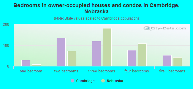 Bedrooms in owner-occupied houses and condos in Cambridge, Nebraska