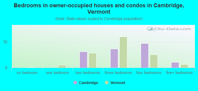 Bedrooms in owner-occupied houses and condos in Cambridge, Vermont