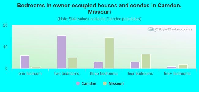 Bedrooms in owner-occupied houses and condos in Camden, Missouri