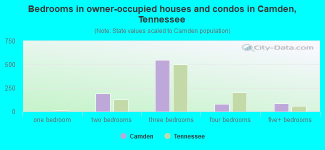 Bedrooms in owner-occupied houses and condos in Camden, Tennessee