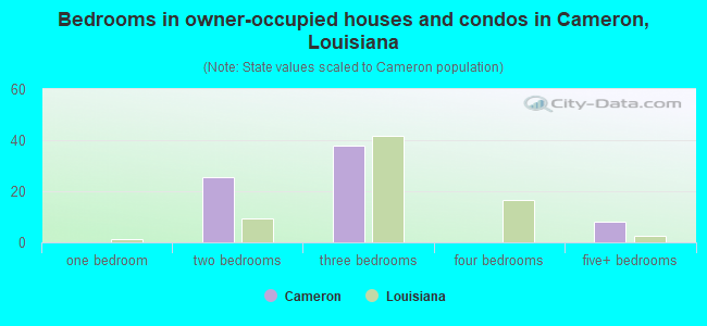 Bedrooms in owner-occupied houses and condos in Cameron, Louisiana