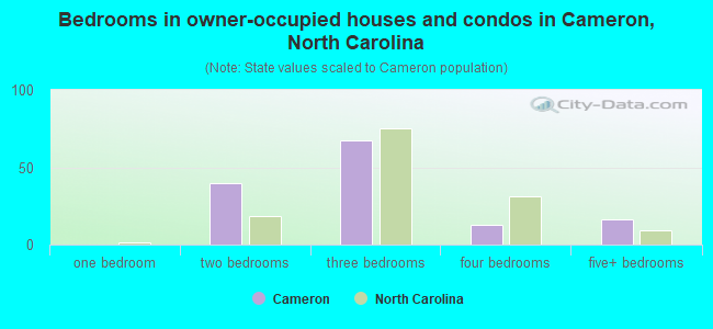 Bedrooms in owner-occupied houses and condos in Cameron, North Carolina