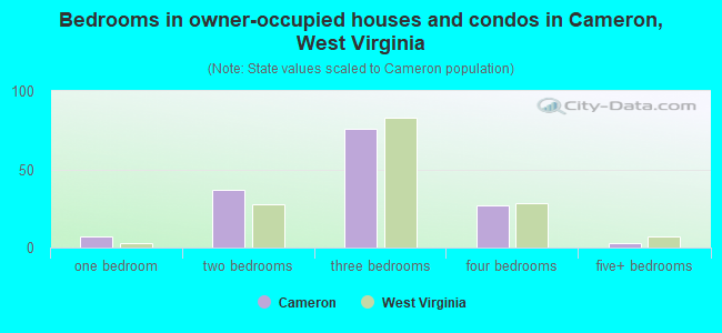 Bedrooms in owner-occupied houses and condos in Cameron, West Virginia