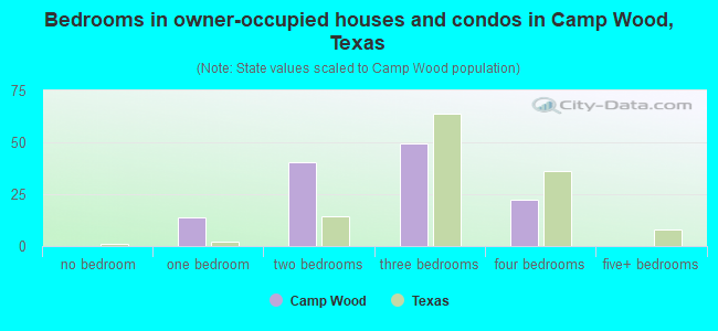 Bedrooms in owner-occupied houses and condos in Camp Wood, Texas