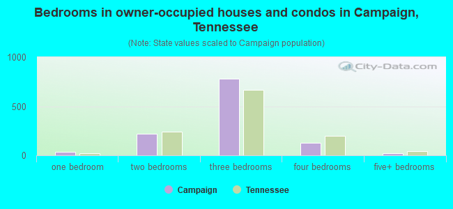 Bedrooms in owner-occupied houses and condos in Campaign, Tennessee