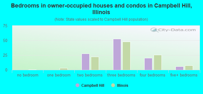 Bedrooms in owner-occupied houses and condos in Campbell Hill, Illinois