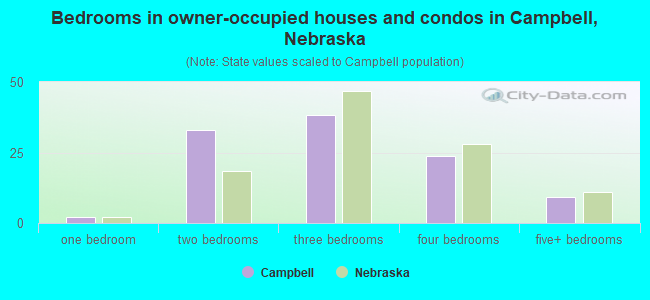 Bedrooms in owner-occupied houses and condos in Campbell, Nebraska