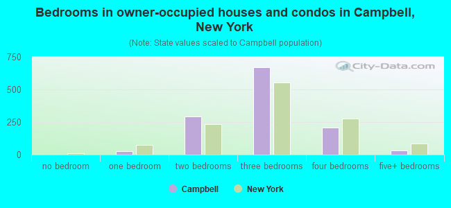 Bedrooms in owner-occupied houses and condos in Campbell, New York