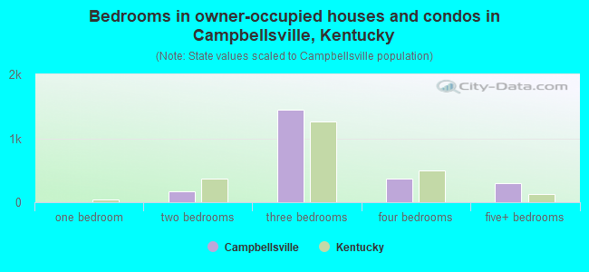 Bedrooms in owner-occupied houses and condos in Campbellsville, Kentucky