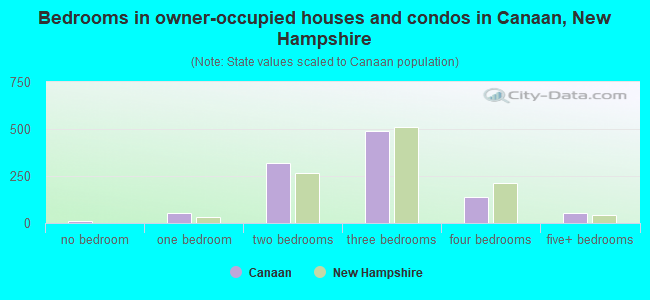Bedrooms in owner-occupied houses and condos in Canaan, New Hampshire