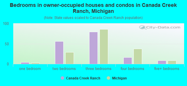 Bedrooms in owner-occupied houses and condos in Canada Creek Ranch, Michigan