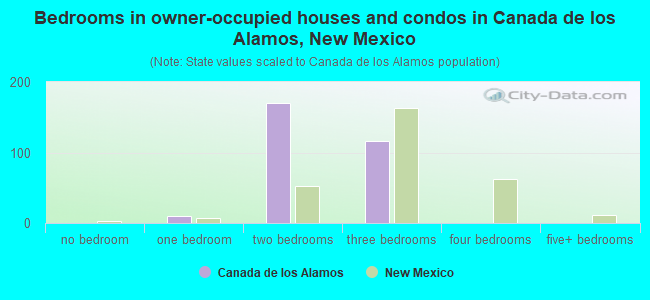 Bedrooms in owner-occupied houses and condos in Canada de los Alamos, New Mexico