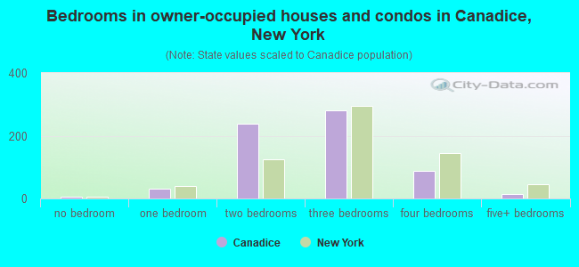 Bedrooms in owner-occupied houses and condos in Canadice, New York