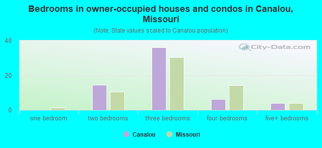 Bedrooms in owner-occupied houses and condos in Canalou, Missouri