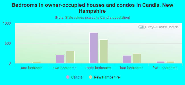 Bedrooms in owner-occupied houses and condos in Candia, New Hampshire