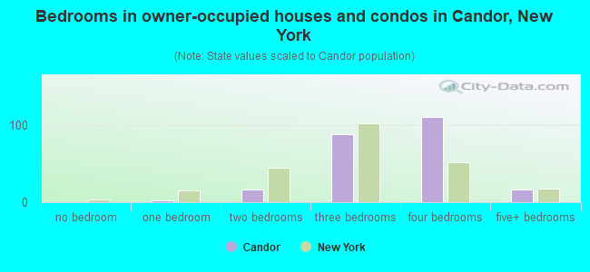 Bedrooms in owner-occupied houses and condos in Candor, New York