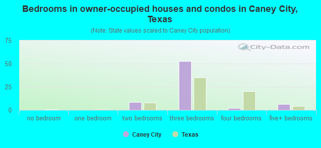 Bedrooms in owner-occupied houses and condos in Caney City, Texas