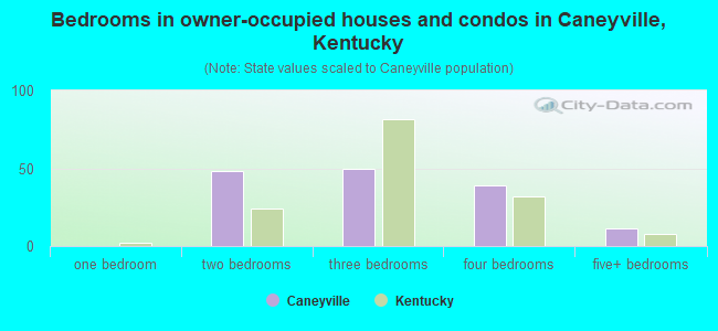 Bedrooms in owner-occupied houses and condos in Caneyville, Kentucky