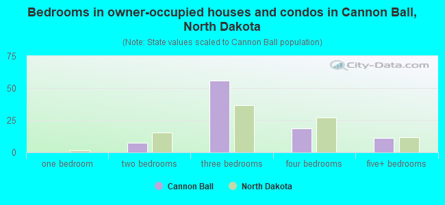 Bedrooms in owner-occupied houses and condos in Cannon Ball, North Dakota