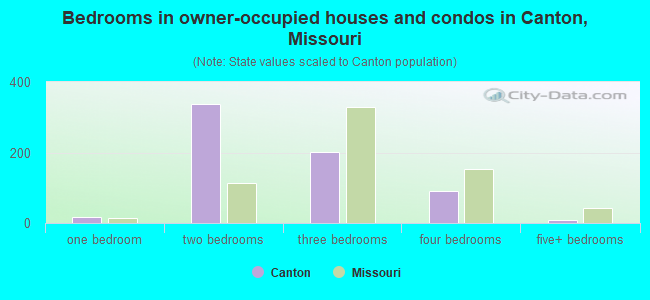 Bedrooms in owner-occupied houses and condos in Canton, Missouri