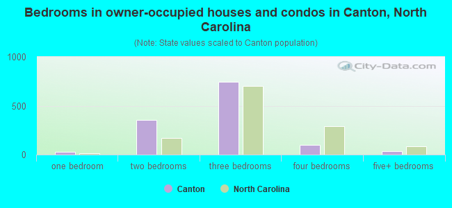 Bedrooms in owner-occupied houses and condos in Canton, North Carolina