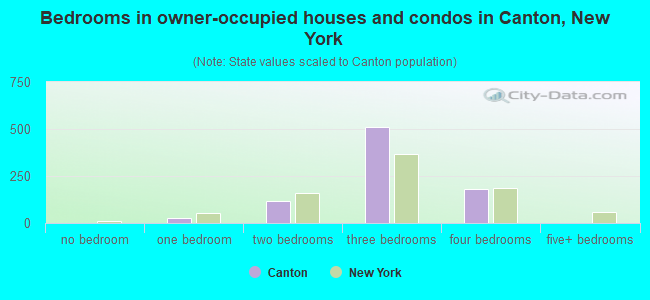 Bedrooms in owner-occupied houses and condos in Canton, New York
