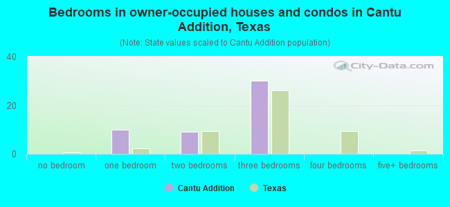 Bedrooms in owner-occupied houses and condos in Cantu Addition, Texas