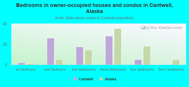 Bedrooms in owner-occupied houses and condos in Cantwell, Alaska
