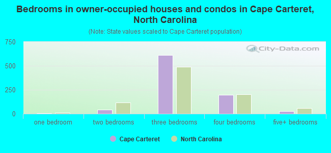 Bedrooms in owner-occupied houses and condos in Cape Carteret, North Carolina