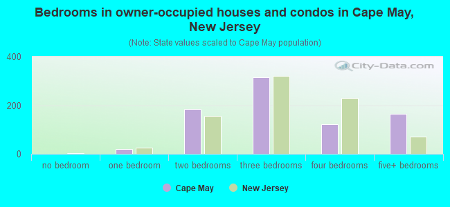 Bedrooms in owner-occupied houses and condos in Cape May, New Jersey