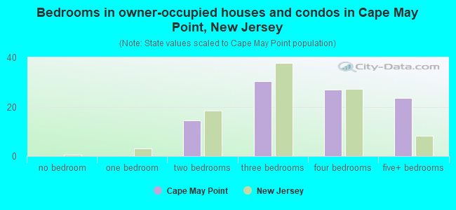 Bedrooms in owner-occupied houses and condos in Cape May Point, New Jersey