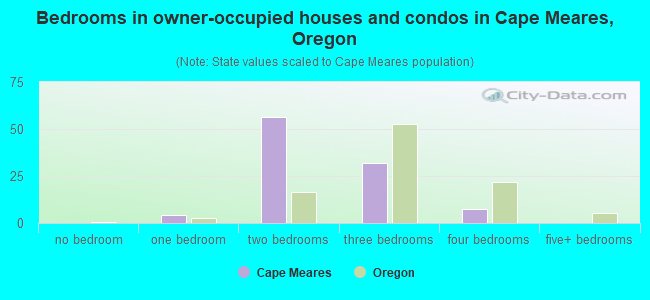 Bedrooms in owner-occupied houses and condos in Cape Meares, Oregon
