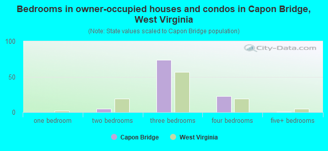 Bedrooms in owner-occupied houses and condos in Capon Bridge, West Virginia
