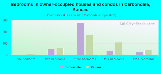 Bedrooms in owner-occupied houses and condos in Carbondale, Kansas