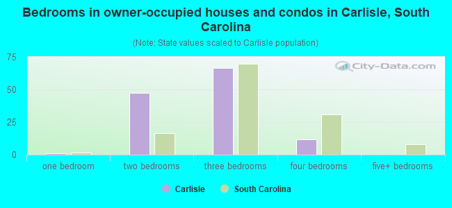 Bedrooms in owner-occupied houses and condos in Carlisle, South Carolina