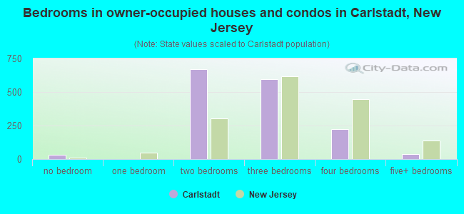 Bedrooms in owner-occupied houses and condos in Carlstadt, New Jersey