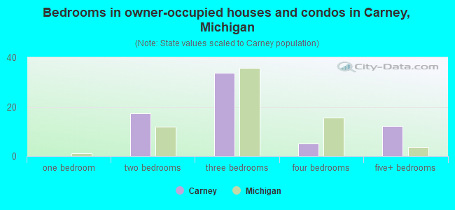 Bedrooms in owner-occupied houses and condos in Carney, Michigan