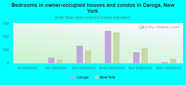 Bedrooms in owner-occupied houses and condos in Caroga, New York