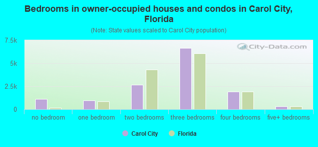 Bedrooms in owner-occupied houses and condos in Carol City, Florida