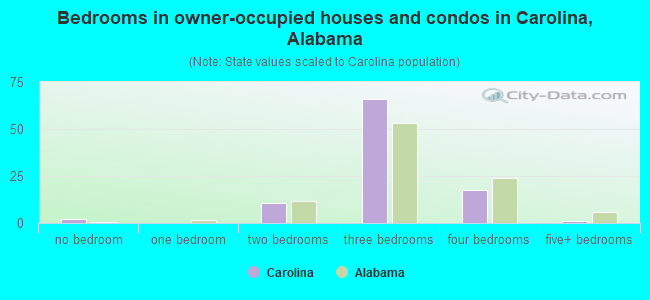 Bedrooms in owner-occupied houses and condos in Carolina, Alabama