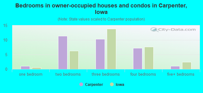 Bedrooms in owner-occupied houses and condos in Carpenter, Iowa