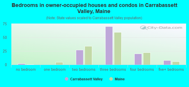 Bedrooms in owner-occupied houses and condos in Carrabassett Valley, Maine